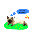 s a n a（個別スタンプ：4）