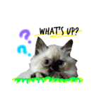s a n a（個別スタンプ：6）