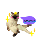 s a n a（個別スタンプ：7）