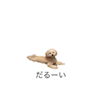 アポ（個別スタンプ：2）