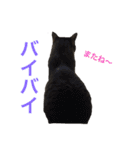 酒井さんちのあずきくん（個別スタンプ：14）