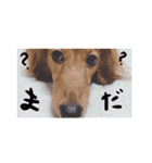 マロン・ルイの日常会話（個別スタンプ：7）