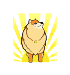 Ang-Pao ＆ Sha-bu（個別スタンプ：3）