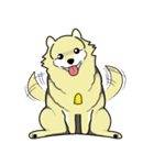 Ang-Pao ＆ Sha-bu（個別スタンプ：9）