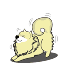 Ang-Pao ＆ Sha-bu（個別スタンプ：13）