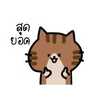 Cute cat (thai)（個別スタンプ：8）