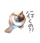 あろとはな。（個別スタンプ：3）