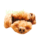 Luku's Life✴︎（個別スタンプ：7）