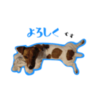 jack君（個別スタンプ：10）