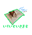 jack君（個別スタンプ：15）