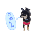 ジル代弁（個別スタンプ：6）