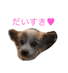 るい（個別スタンプ：6）
