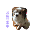 るい（個別スタンプ：16）