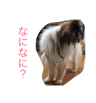 るい（個別スタンプ：17）