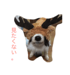 るい（個別スタンプ：18）