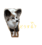 るい（個別スタンプ：19）