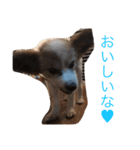 るい（個別スタンプ：22）