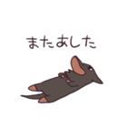 ふぅちゃんスタンプ（個別スタンプ：23）