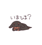 ふぅちゃんスタンプ（個別スタンプ：31）