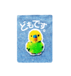 ぽんぽんインコさん（個別スタンプ：1）