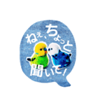 ぽんぽんインコさん（個別スタンプ：3）