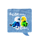 ぽんぽんインコさん（個別スタンプ：5）