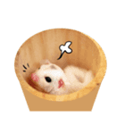 Sugarglider Little Momo（個別スタンプ：7）