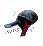 W.H.L（個別スタンプ：1）