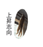 ねこで会話（個別スタンプ：4）