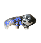 チワワワ（個別スタンプ：3）