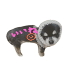 チワワワ（個別スタンプ：13）