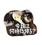 ハナちゃんとイルくん（個別スタンプ：1）