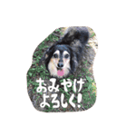ハナちゃんとイルくん（個別スタンプ：9）