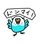 ヘンなセキセイインコ（個別スタンプ：6）