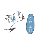 白いセキセイインコ2（個別スタンプ：1）