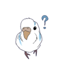 白いセキセイインコ2（個別スタンプ：2）