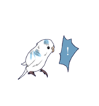白いセキセイインコ2（個別スタンプ：3）