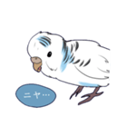 白いセキセイインコ2（個別スタンプ：4）