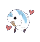白いセキセイインコ2（個別スタンプ：5）
