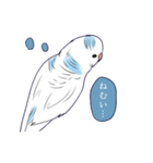 白いセキセイインコ2（個別スタンプ：6）