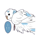 白いセキセイインコ2（個別スタンプ：7）