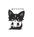 愛犬パピーvol.2（個別スタンプ：1）