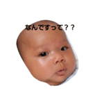 syunki（個別スタンプ：1）