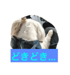 べんぺこ2（個別スタンプ：1）