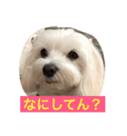 べんぺこ2（個別スタンプ：2）