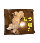 べんぺこ2（個別スタンプ：3）