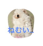 べんぺこ2（個別スタンプ：4）