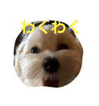 べんぺこ2（個別スタンプ：9）