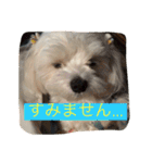 べんぺこ2（個別スタンプ：10）