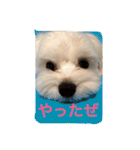 べんぺこ2（個別スタンプ：11）